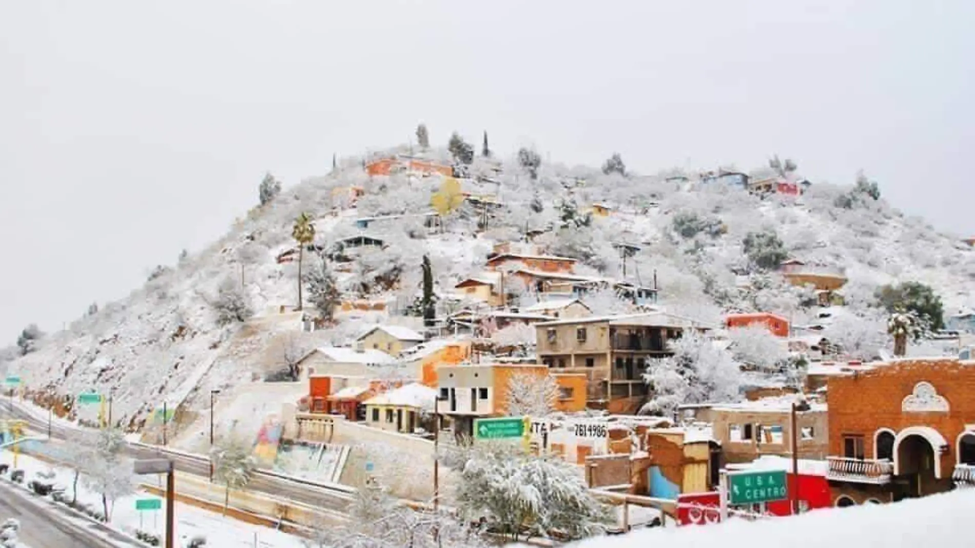 Nogales bajo nieve